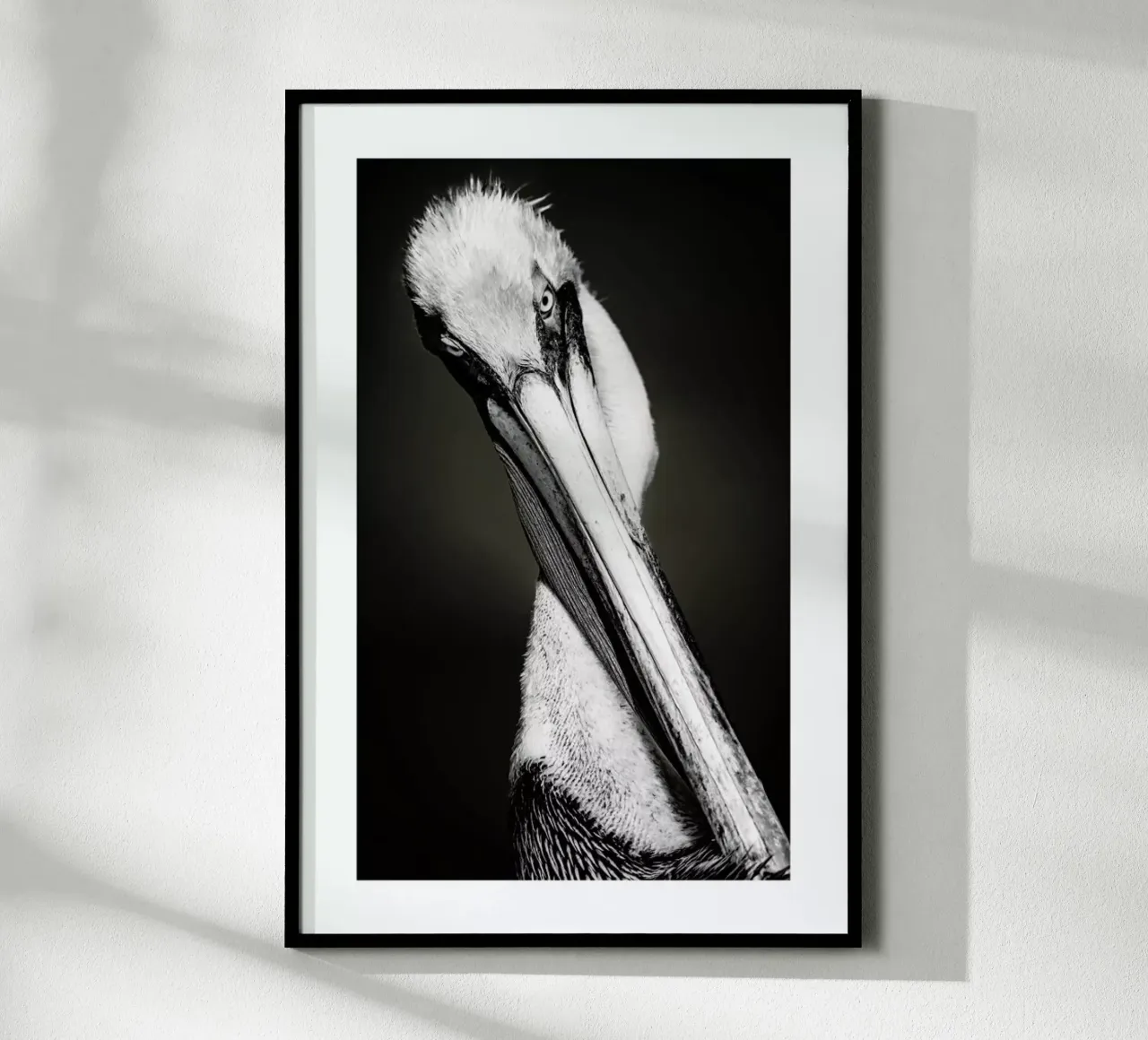 Pelican poster da Natural Kingdom