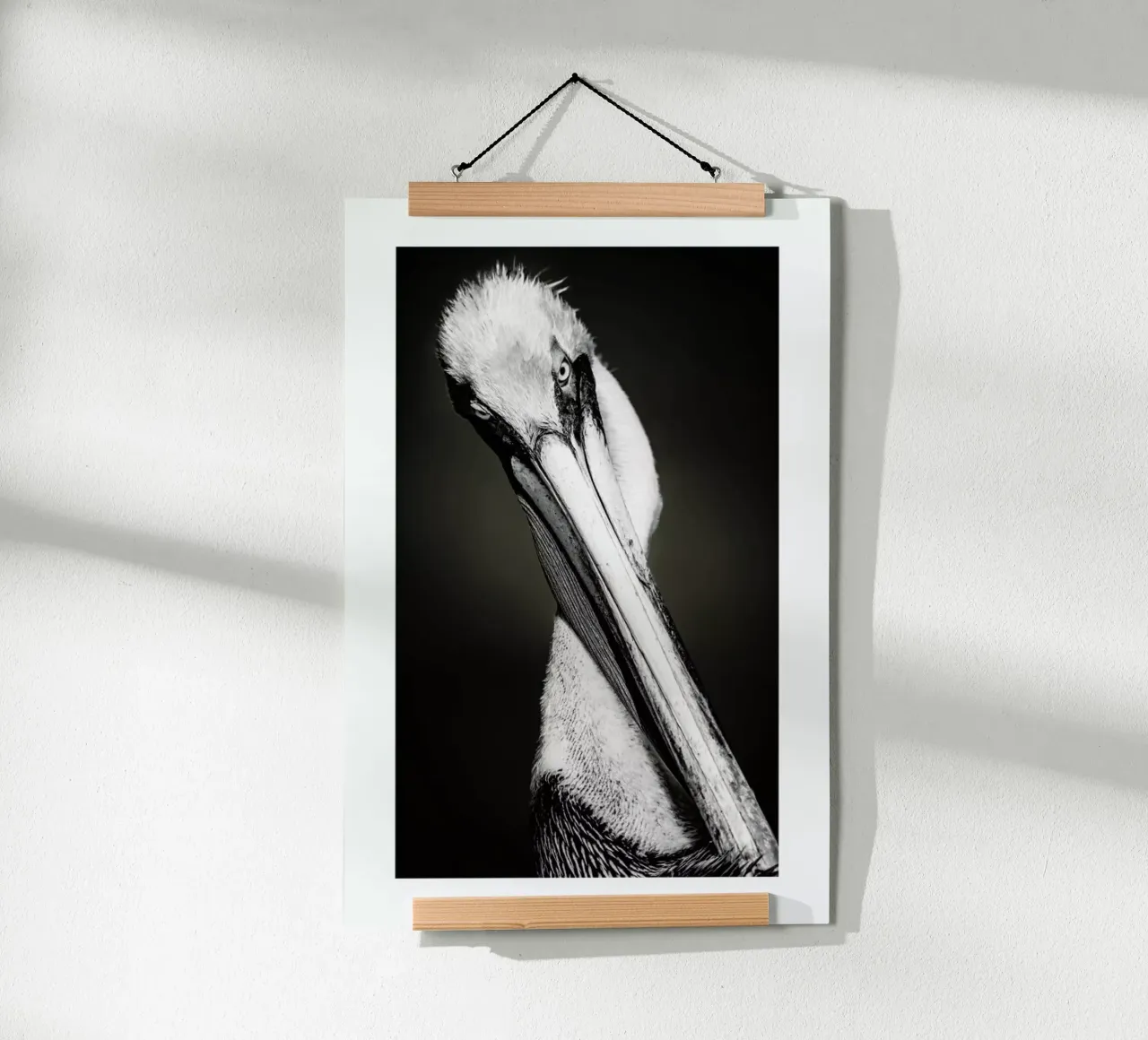 Pelican poster da Natural Kingdom