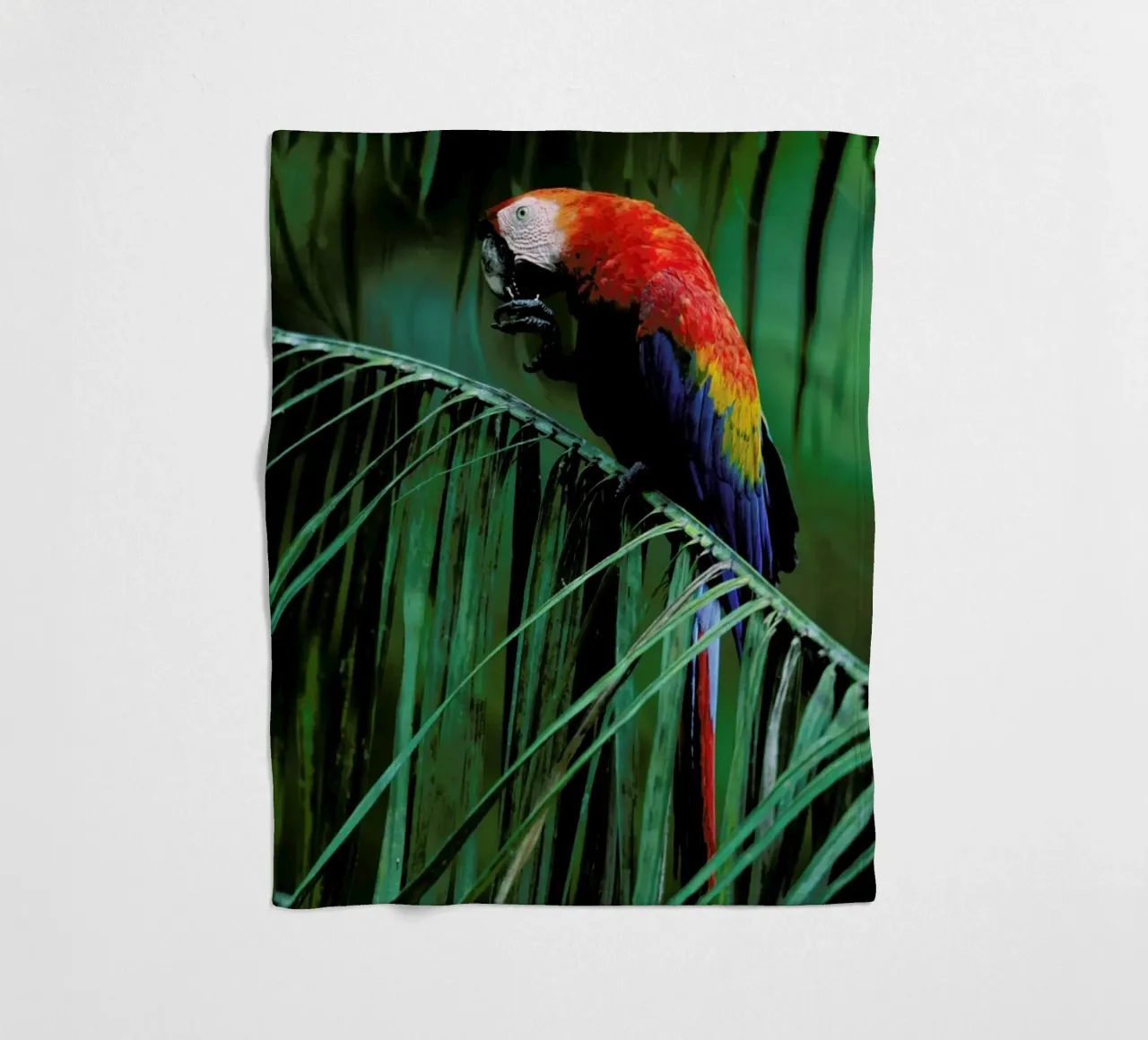 In the Jungle coperta in pile da Natural Kingdom