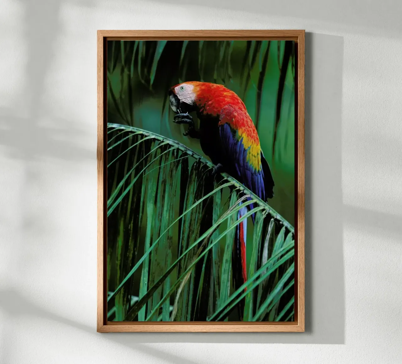In the Jungle alluminio dibond da Natural Kingdom