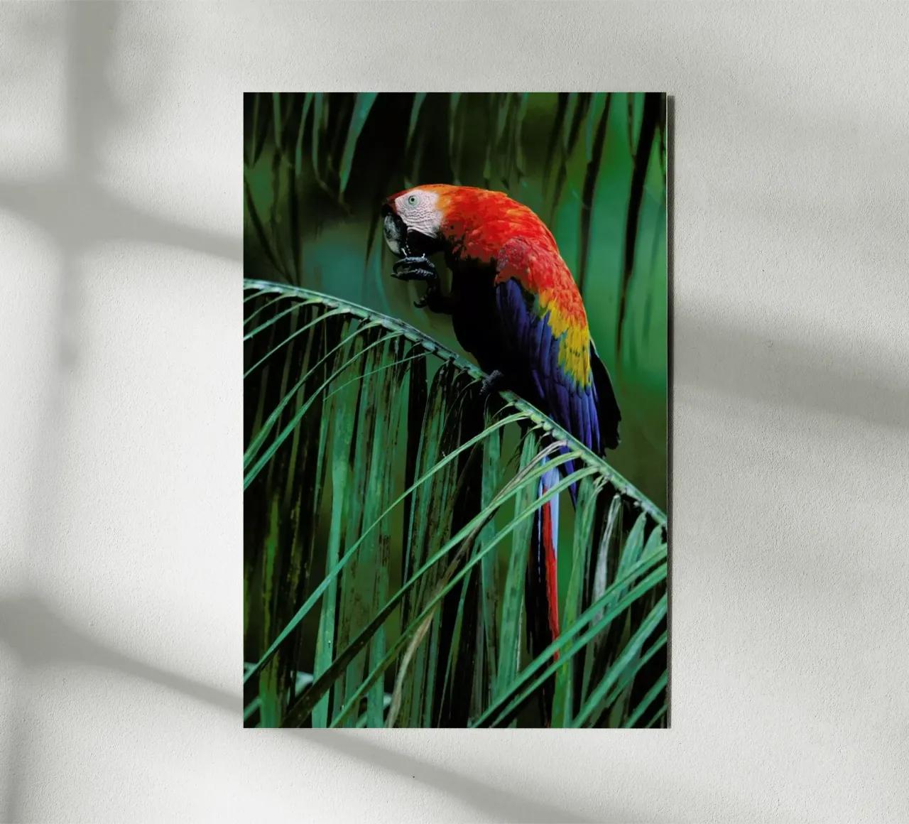 In the Jungle alluminio dibond da Natural Kingdom