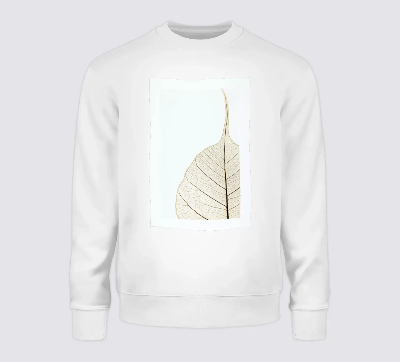 Translucent Leaf sweat de Flora & Fauna