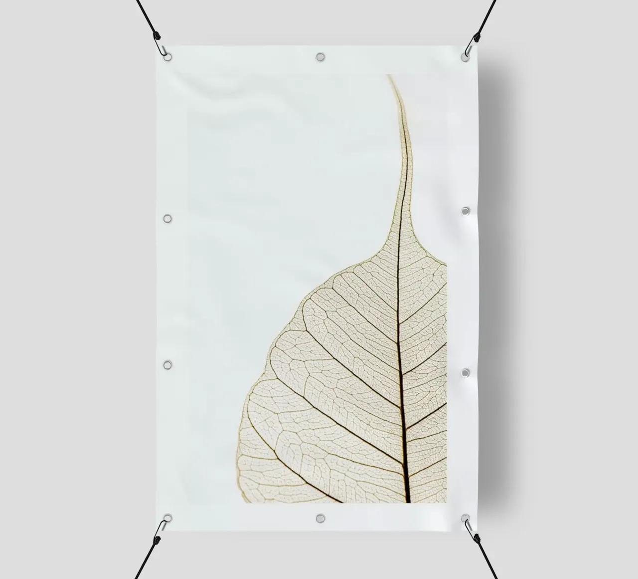 Translucent Leaf pvc cover by Flora & Fauna