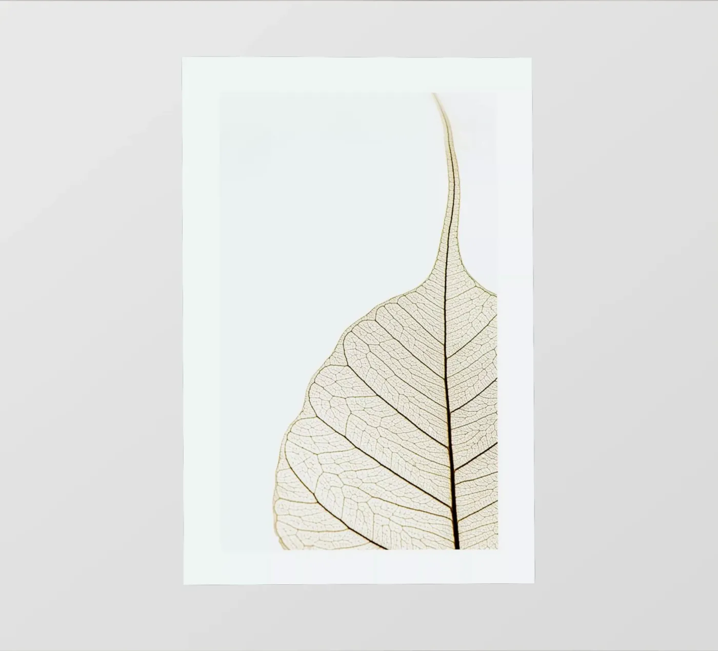 Translucent Leaf telo in pvc da Flora & Fauna