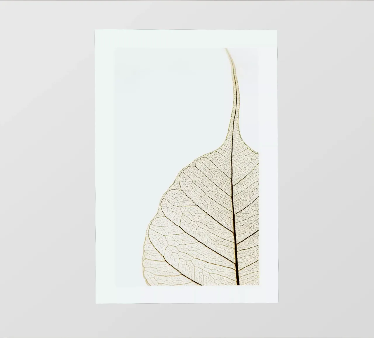 Translucent Leaf pvc cover by Flora & Fauna