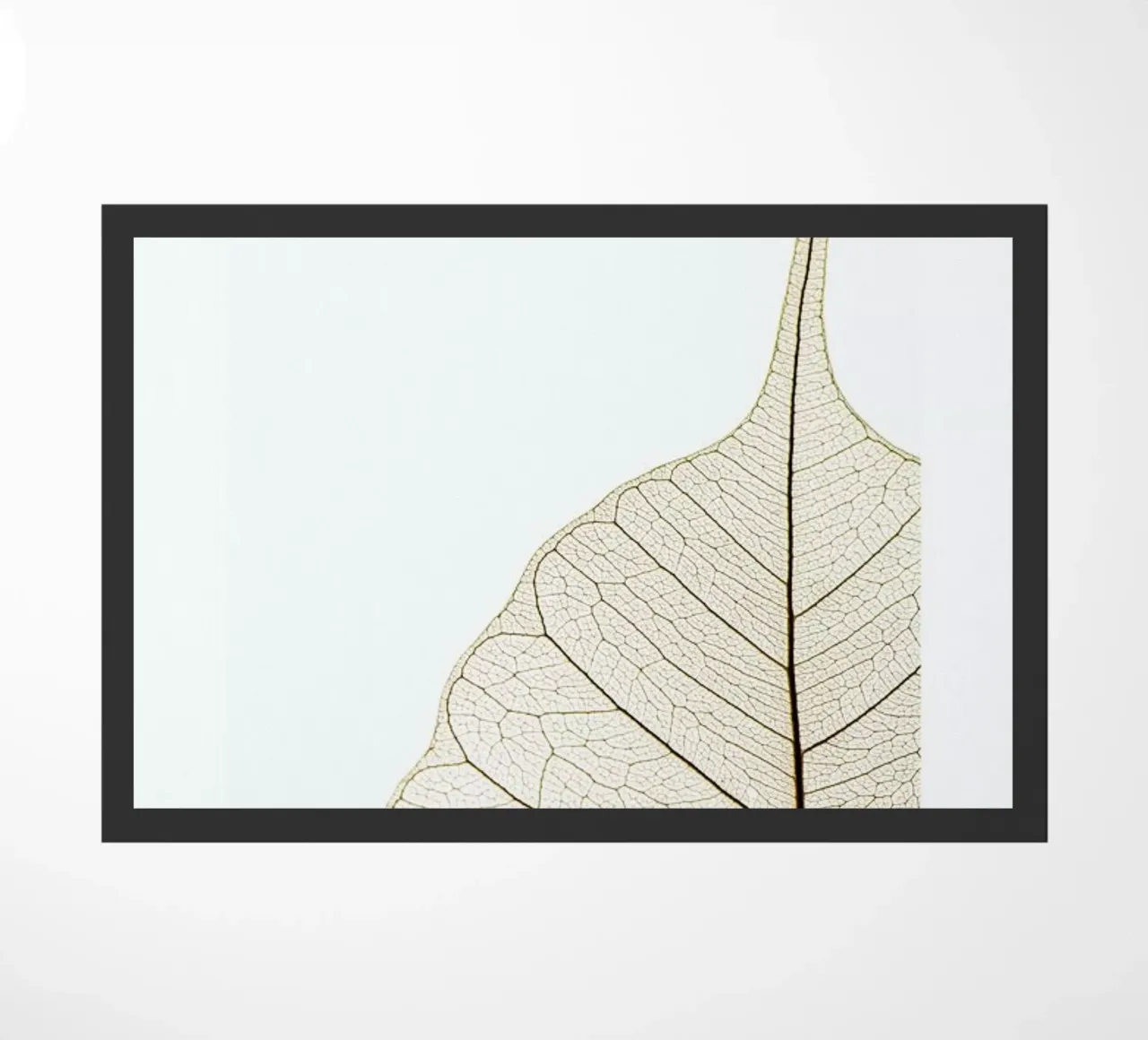 Translucent Leaf Fußmatte von Flora & Fauna