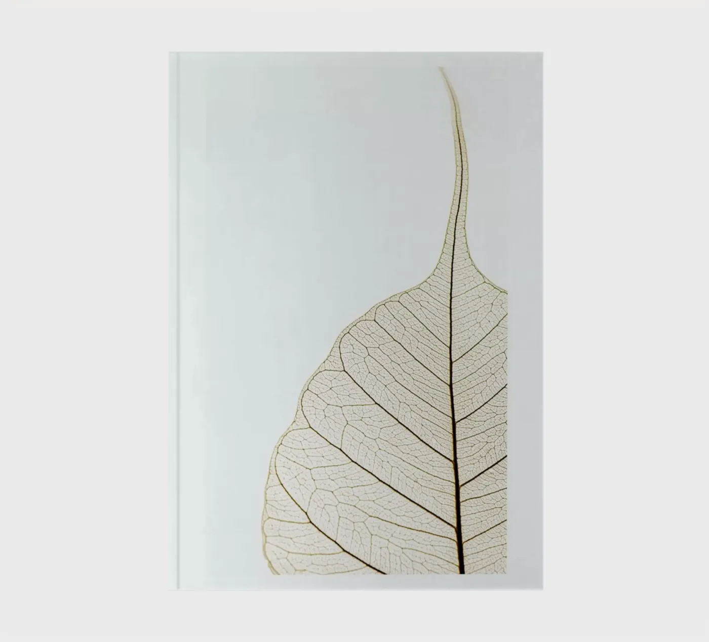Translucent Leaf carnet de Flora & Fauna