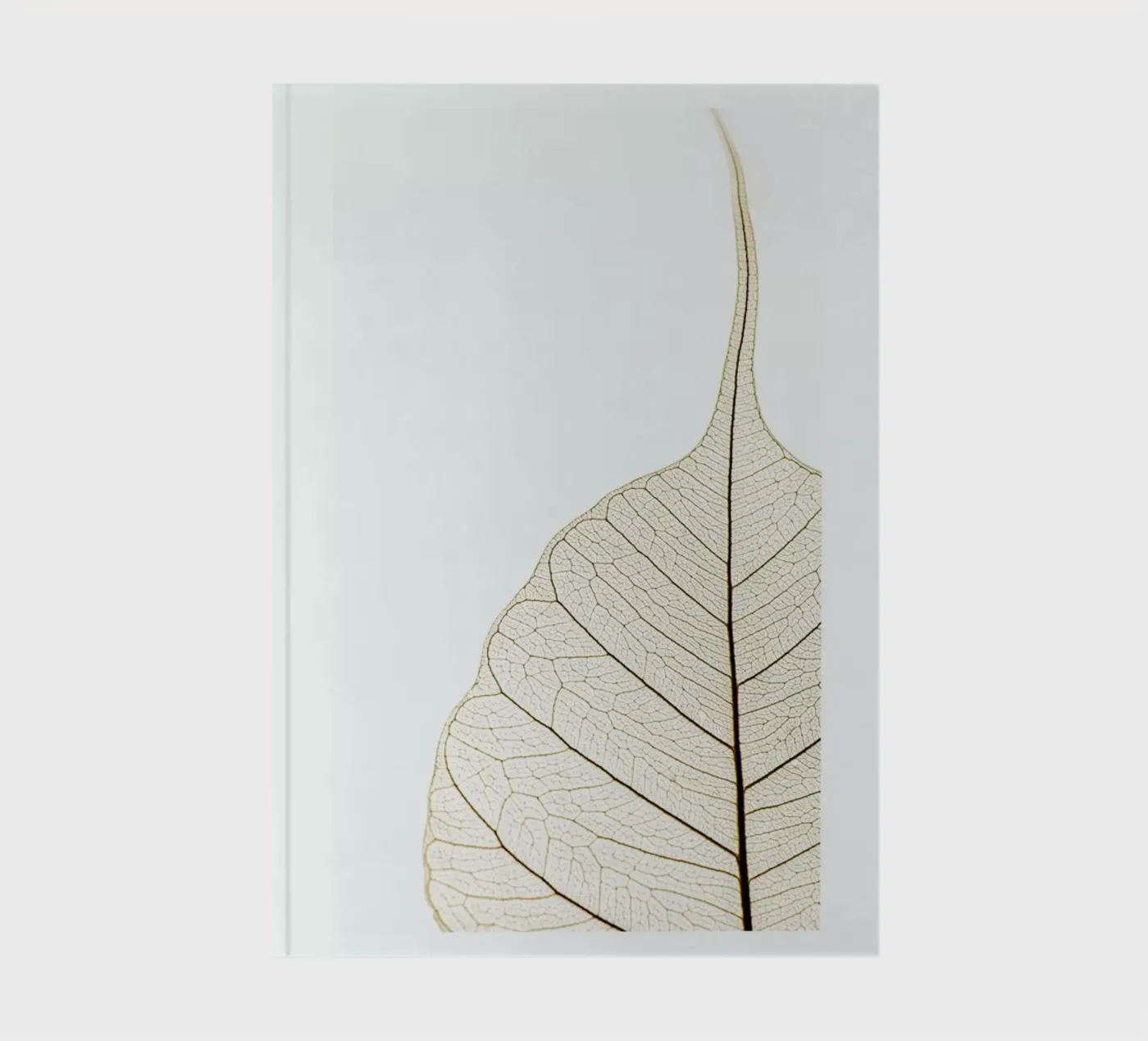 Translucent Leaf quaderno da Flora & Fauna