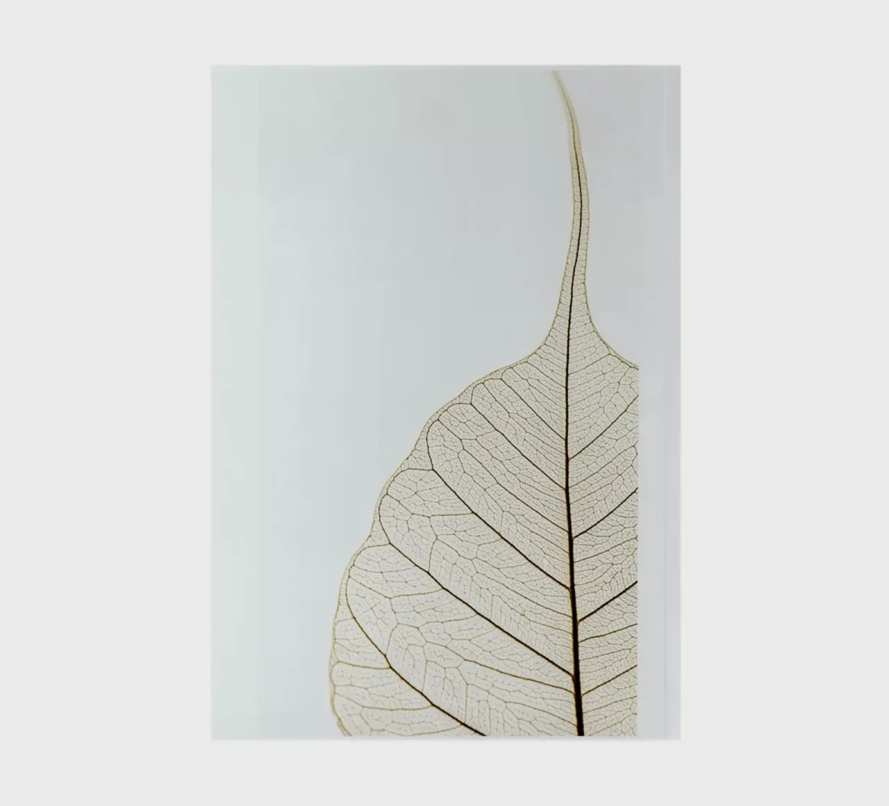 Translucent Leaf notebook by Flora & Fauna