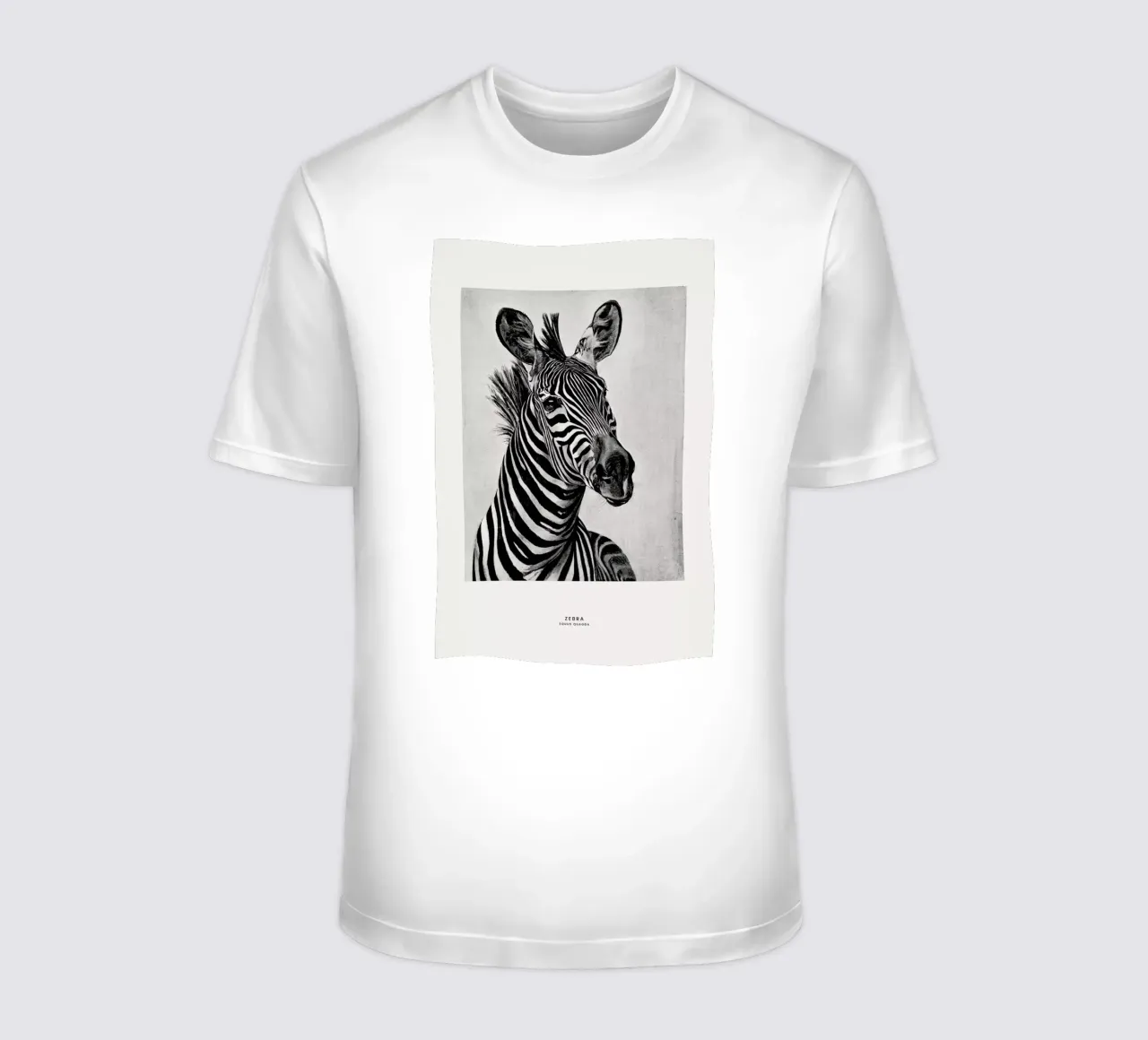 Zebra Portrait t-shirt da Flora & Fauna