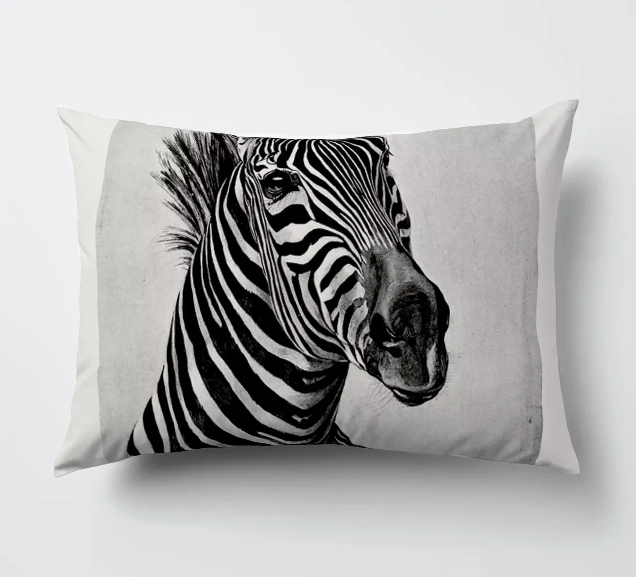 Zebra Portrait cuscino da Flora & Fauna
