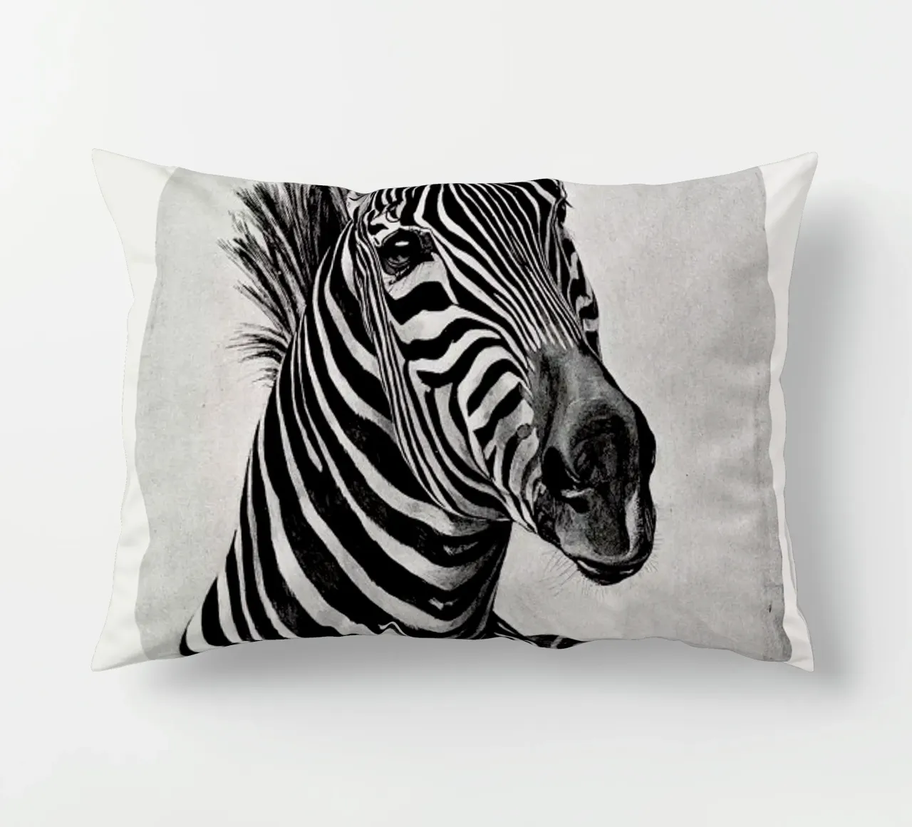 Zebra Portrait cuscino da Flora & Fauna