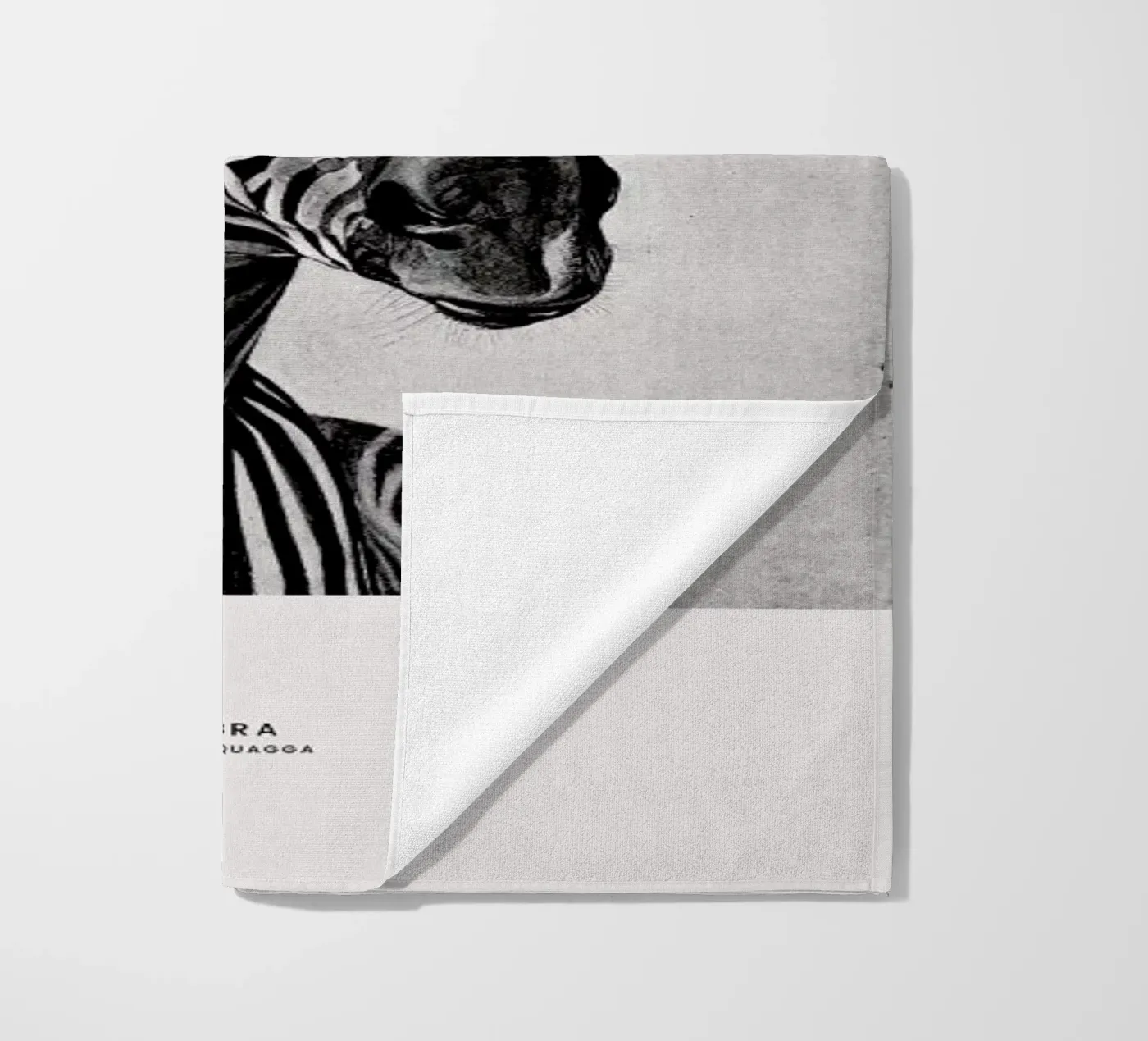 Zebra Portrait telo mare da Flora & Fauna