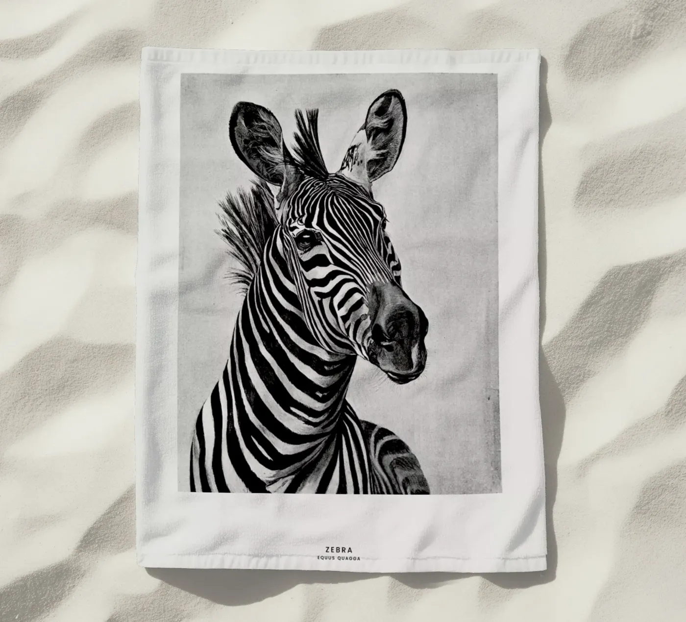 Zebra Portrait telo mare da Flora & Fauna