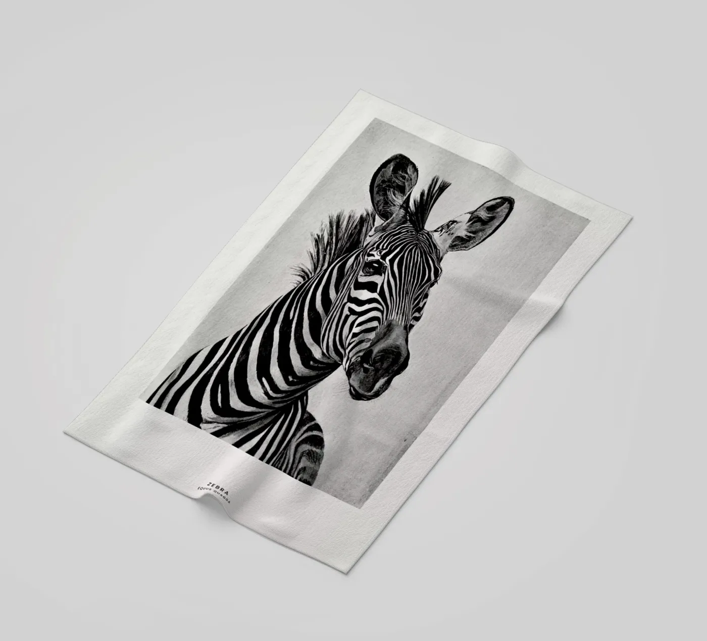 Zebra Portrait telo mare da Flora & Fauna