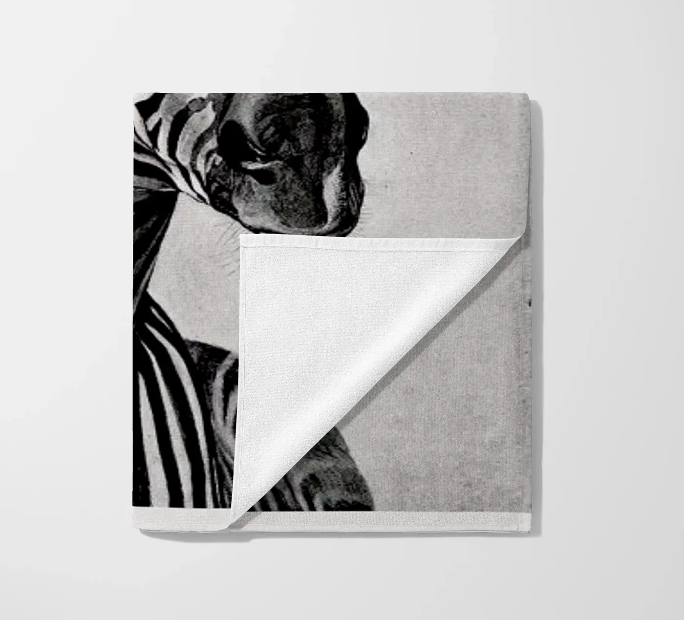 Zebra Portrait telo mare da Flora & Fauna