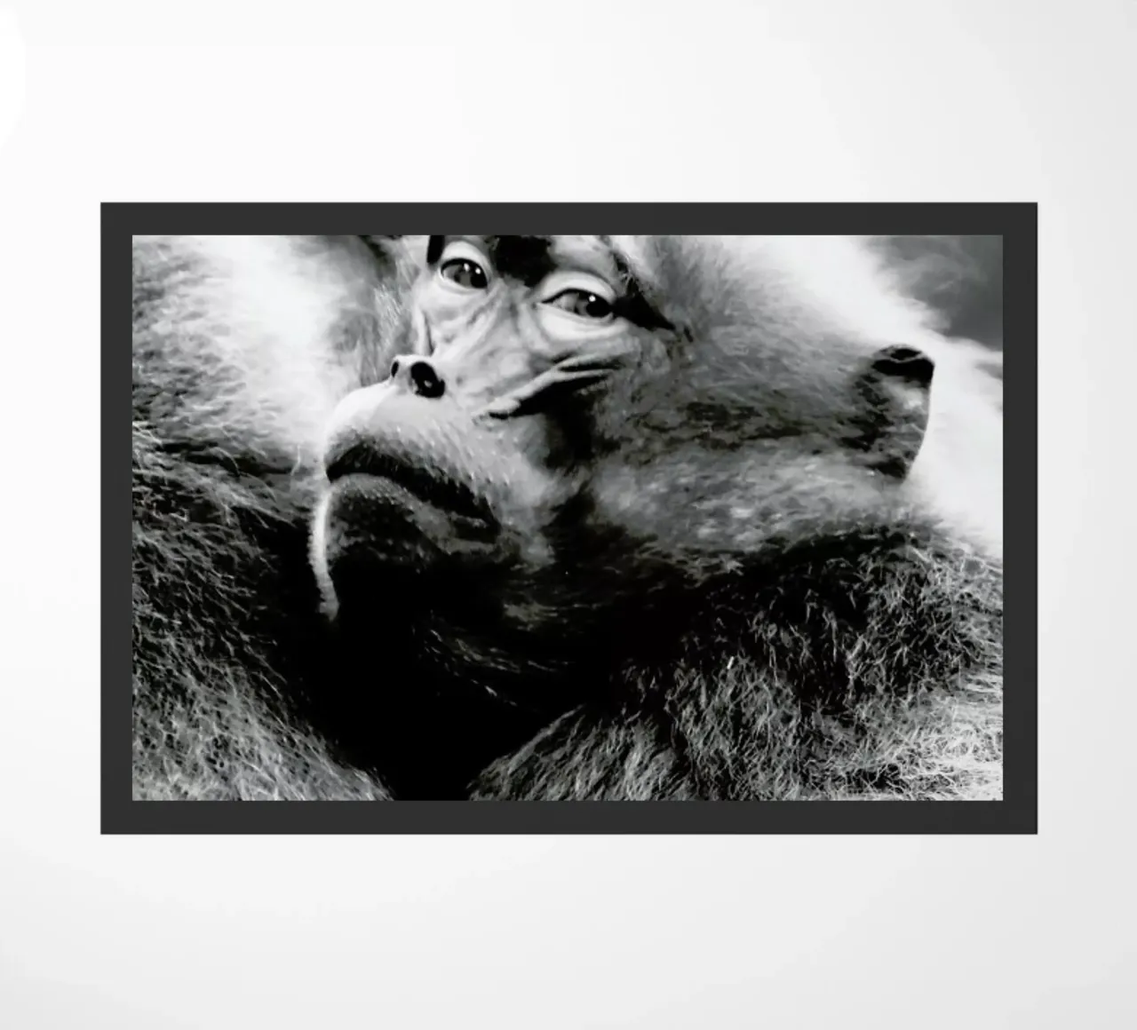 Monkey Business zerbino da Babett Schultze