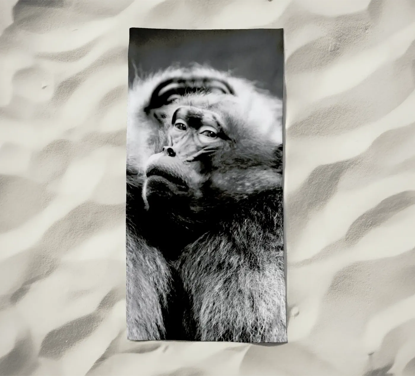 Monkey Business telo mare da Babett Schultze