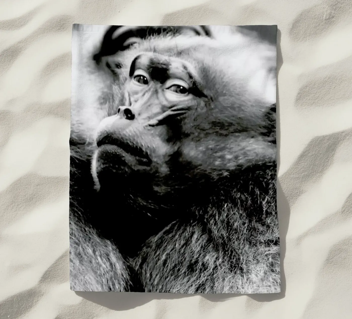 Monkey Business telo mare da Babett Schultze