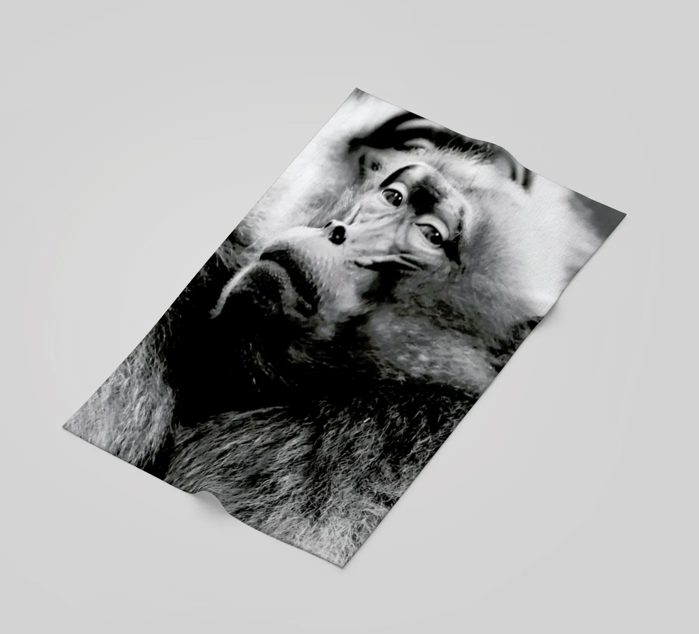 Monkey Business telo mare da Babett Schultze