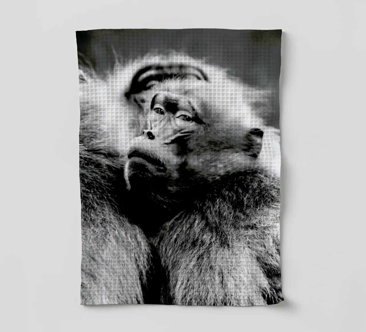 Monkey Business canovaccio da cucina da Babett Schultze