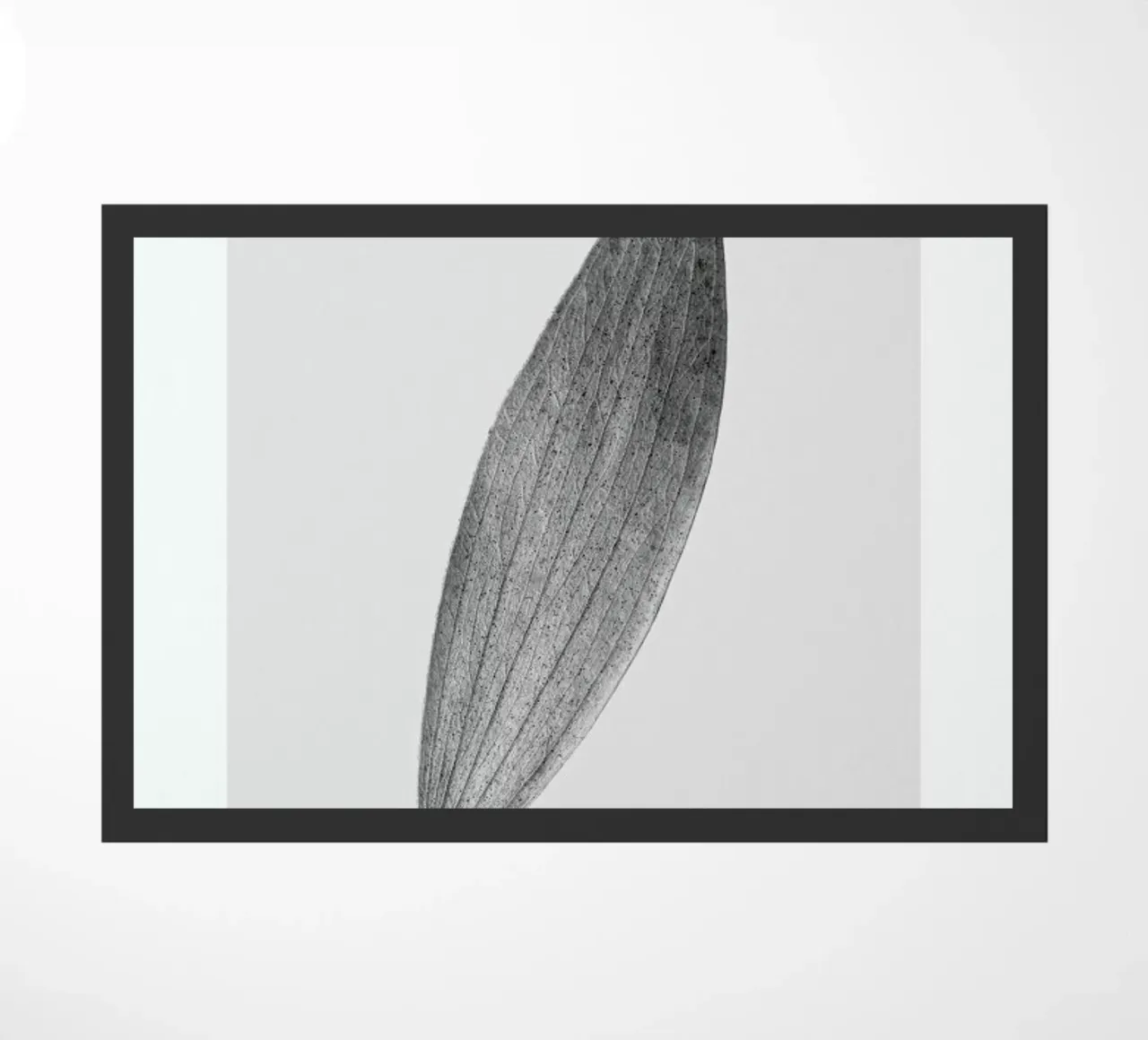 Eucalyptus Leaf zerbino da Flora & Fauna