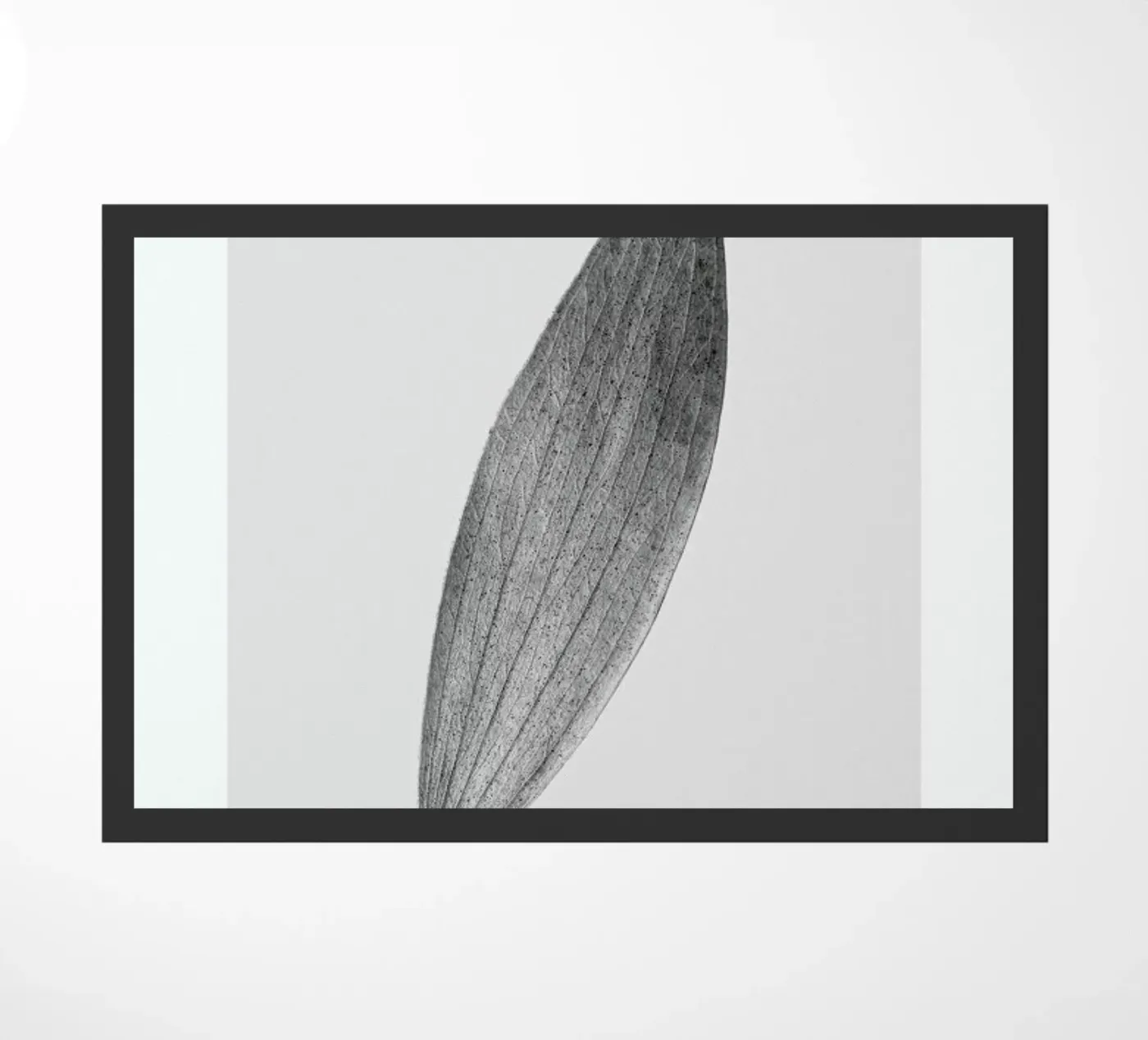 Eucalyptus Leaf zerbino da Flora & Fauna