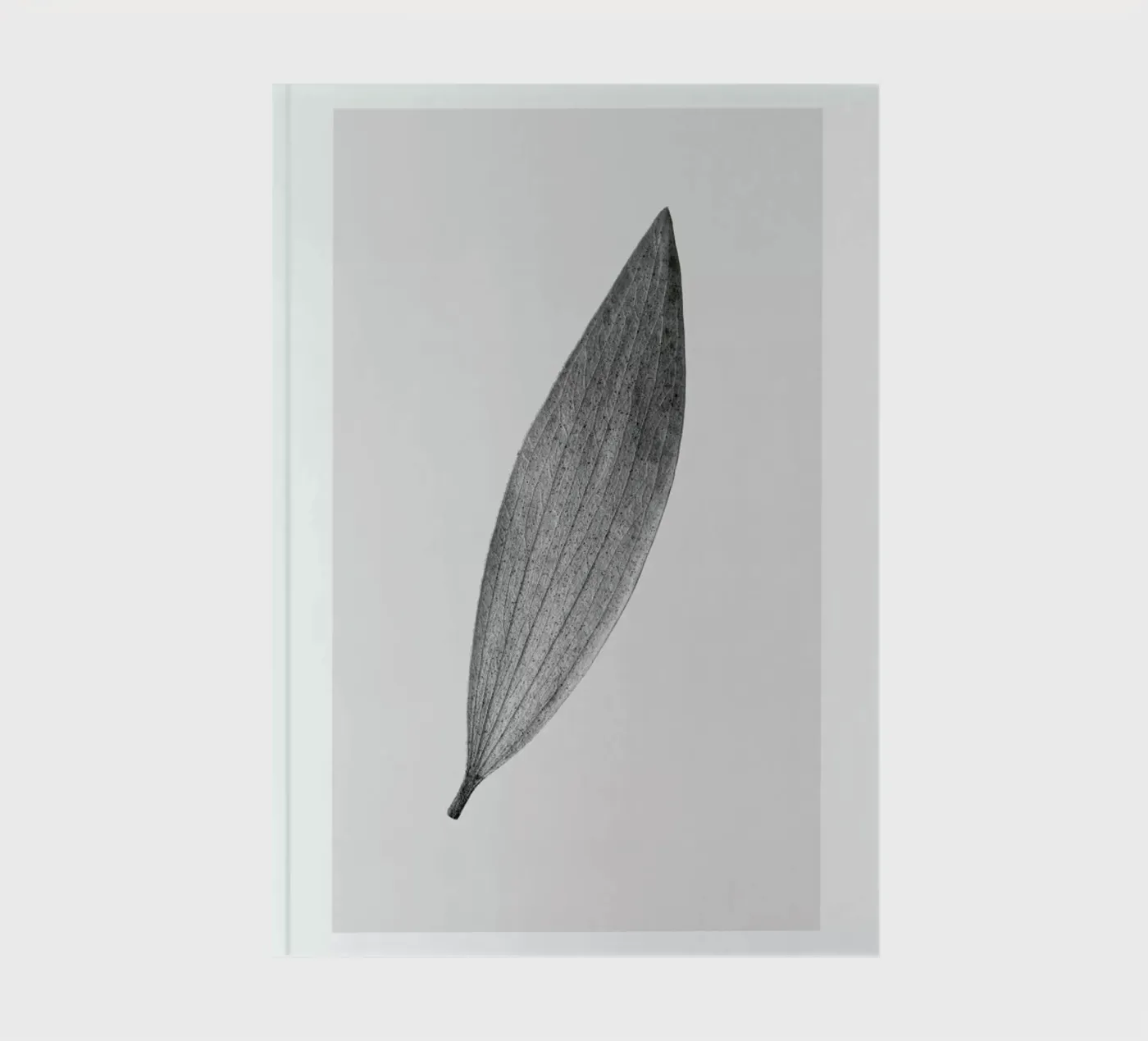 Eucalyptus Leaf notebook by Flora & Fauna