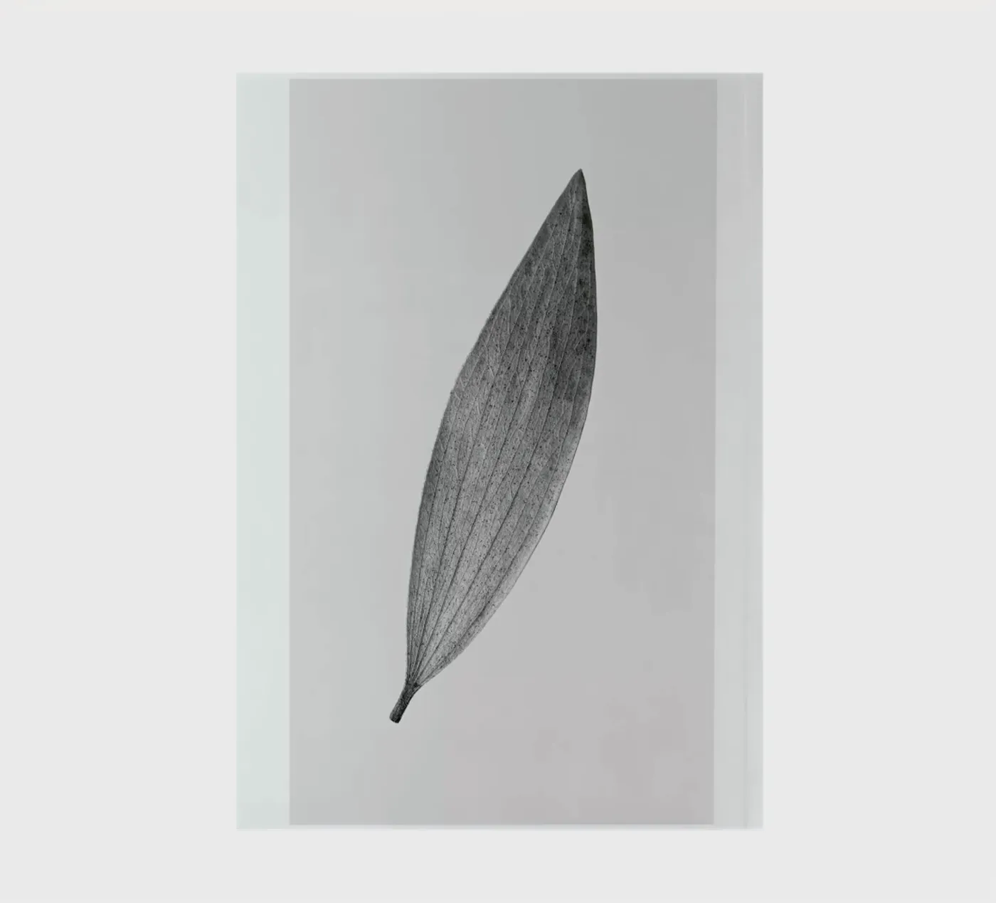 Eucalyptus Leaf notebook by Flora & Fauna