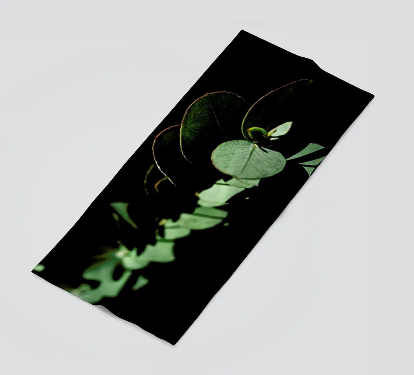 Nina's Eucalyptus telo mare da Babett Schultze