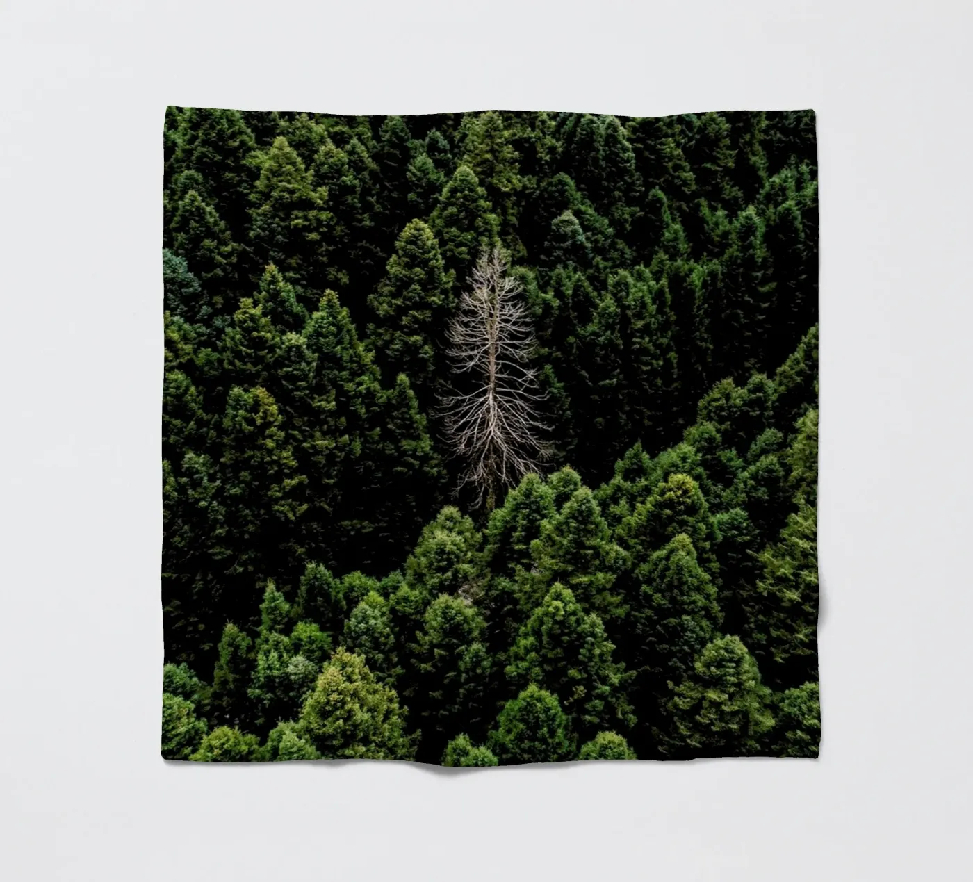 Alone Fleecedecke von ROBERTO H