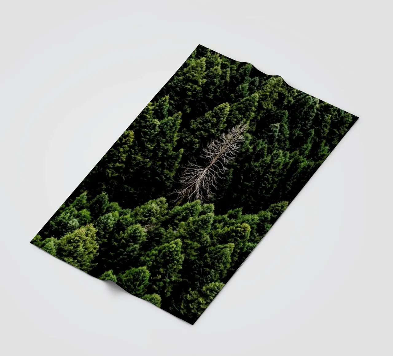 Alone fleece blanket by ROBERTO H