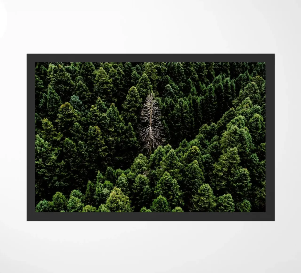 Alone doormat by ROBERTO H