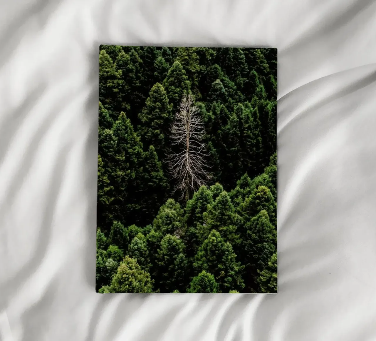 Alone notebook by ROBERTO H