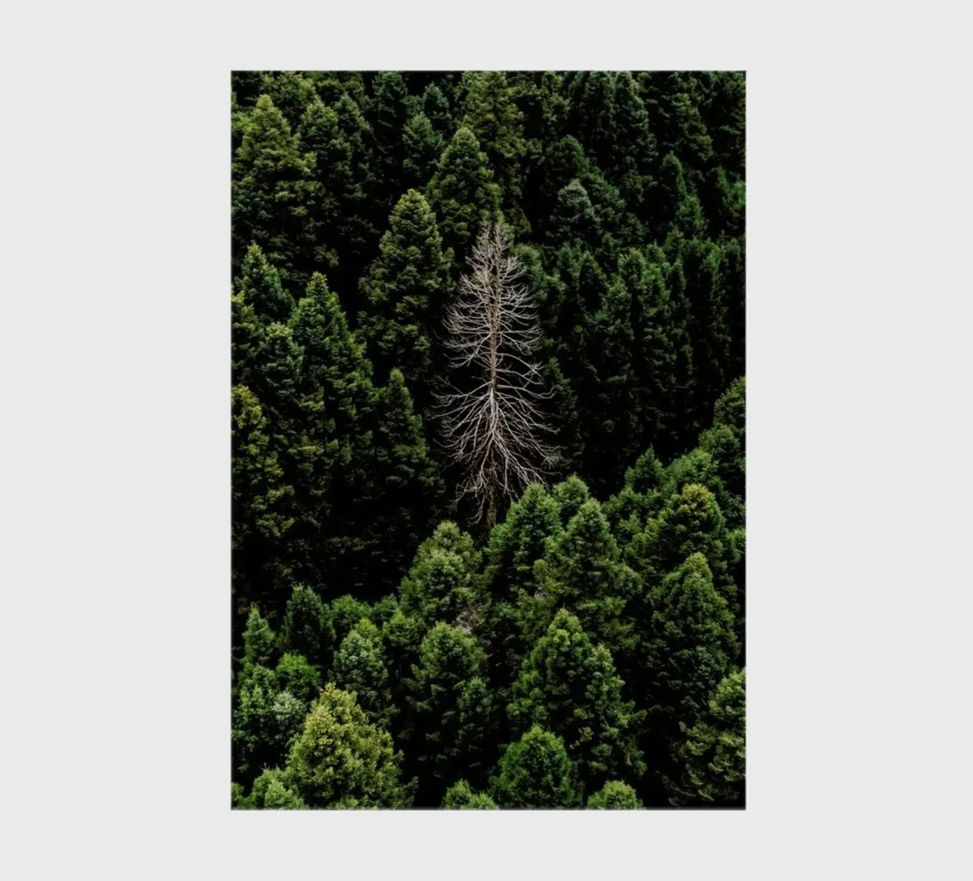 Alone notebook by ROBERTO H