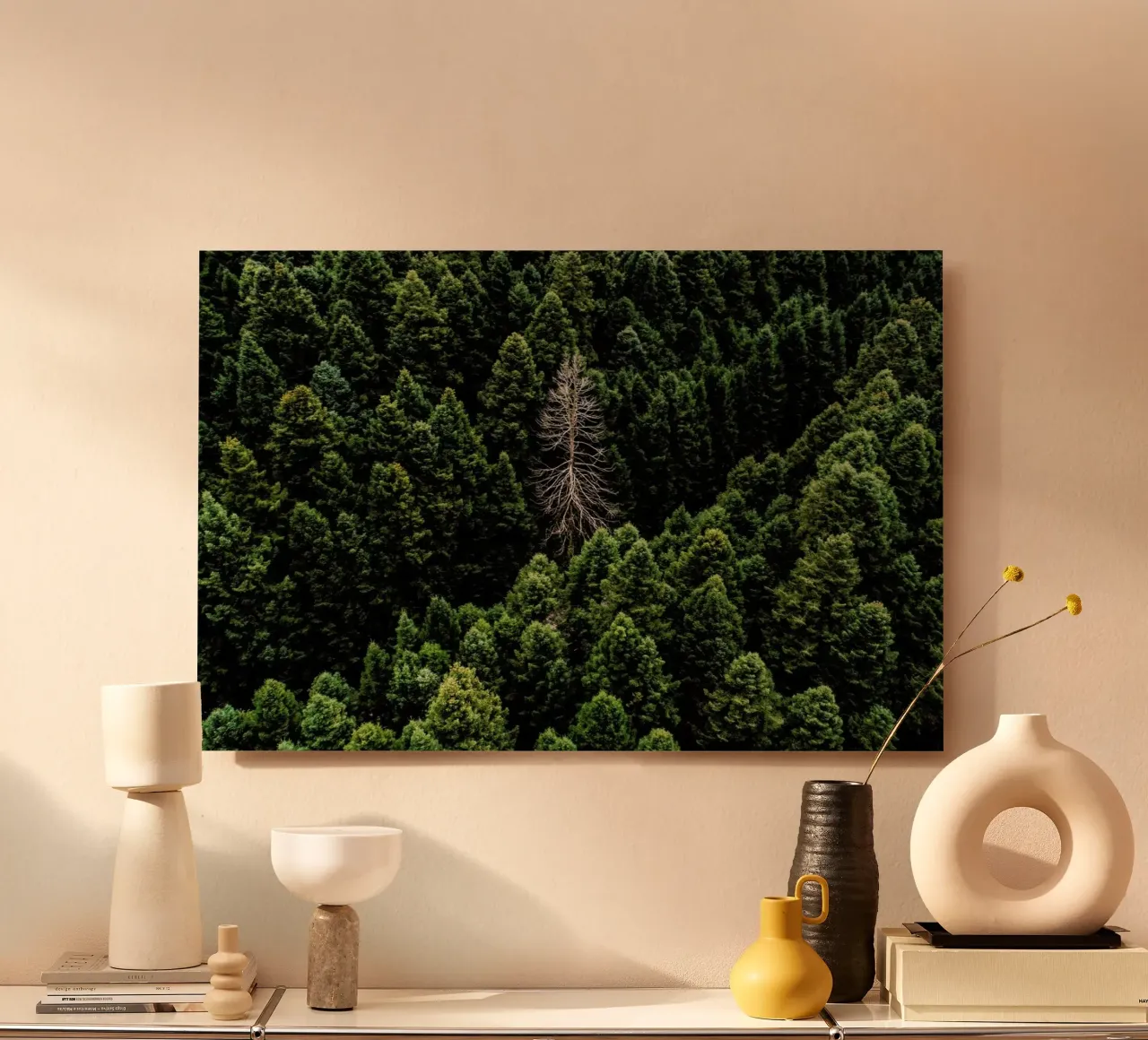 Alone forex plate by ROBERTO H