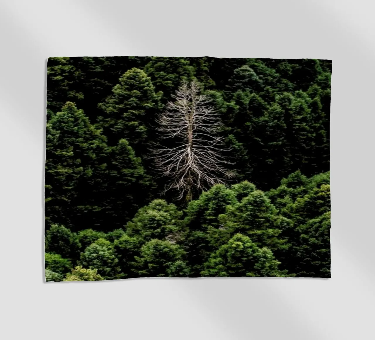 Alone beach towel by ROBERTO H