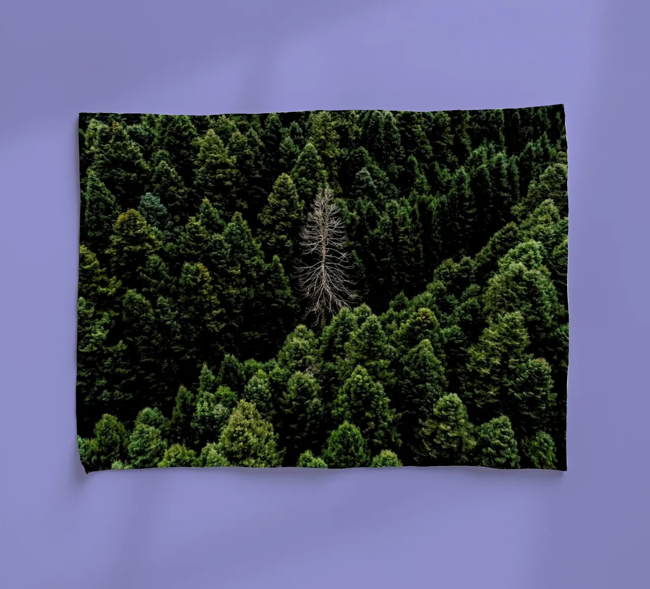 Alone tea towel by ROBERTO H