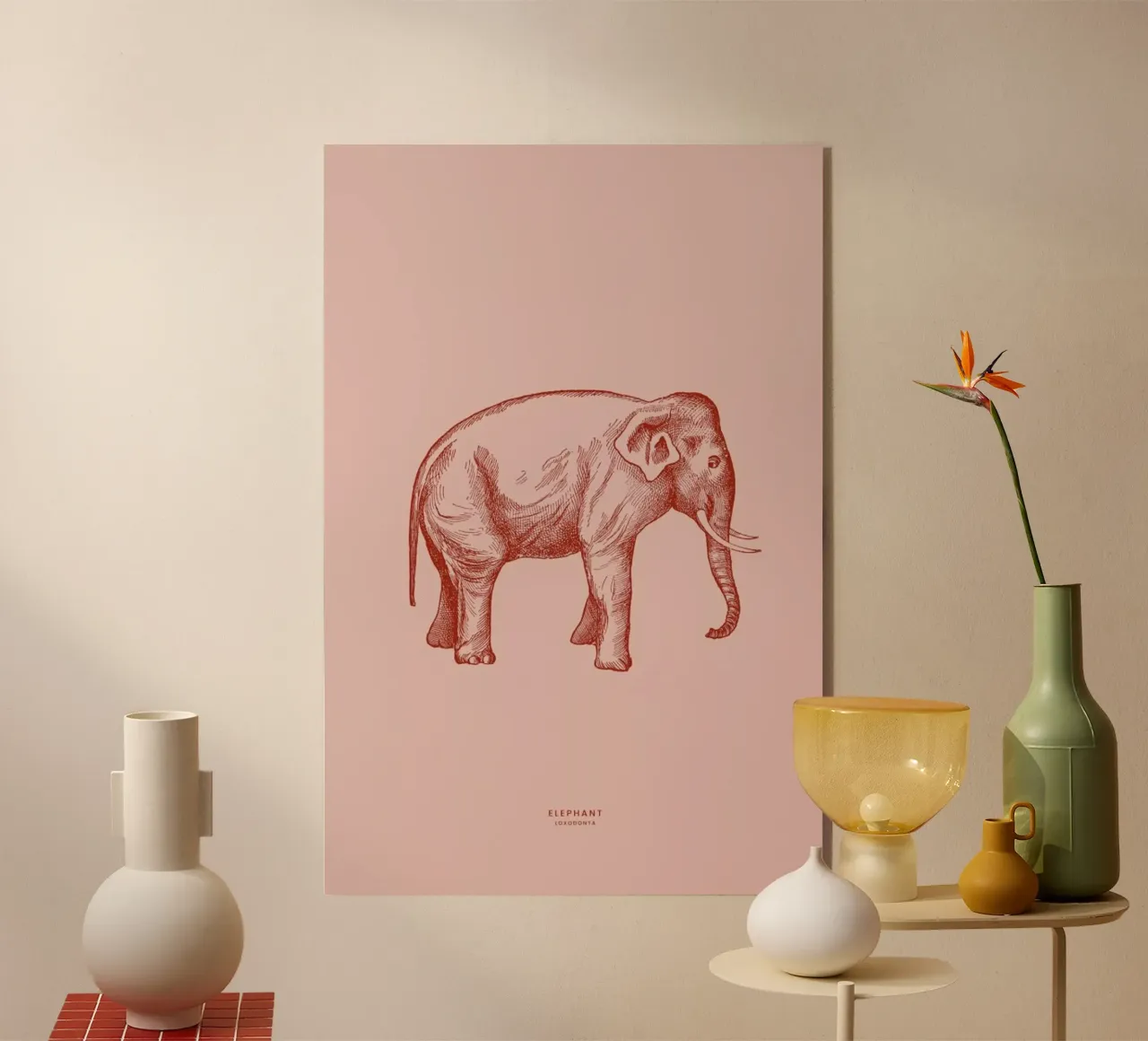 Elephant Pink plexiglass da Flora & Fauna