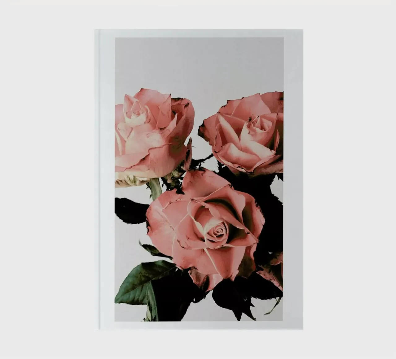 Roses diario da Flora & Fauna
