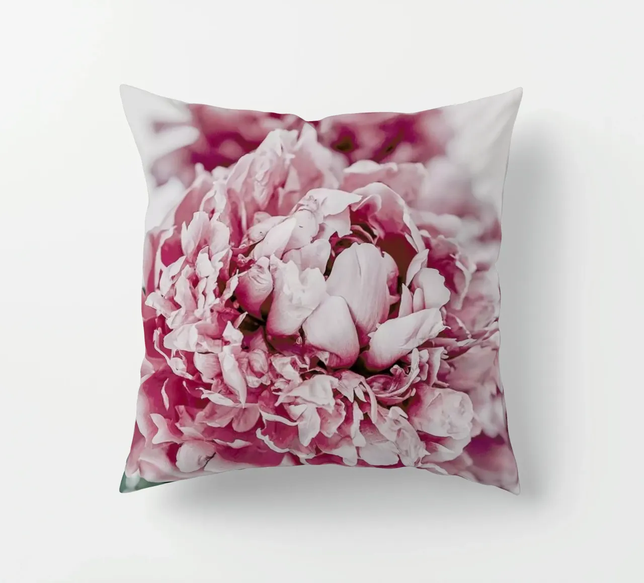 Peony in Focus cuscino da Flora & Fauna