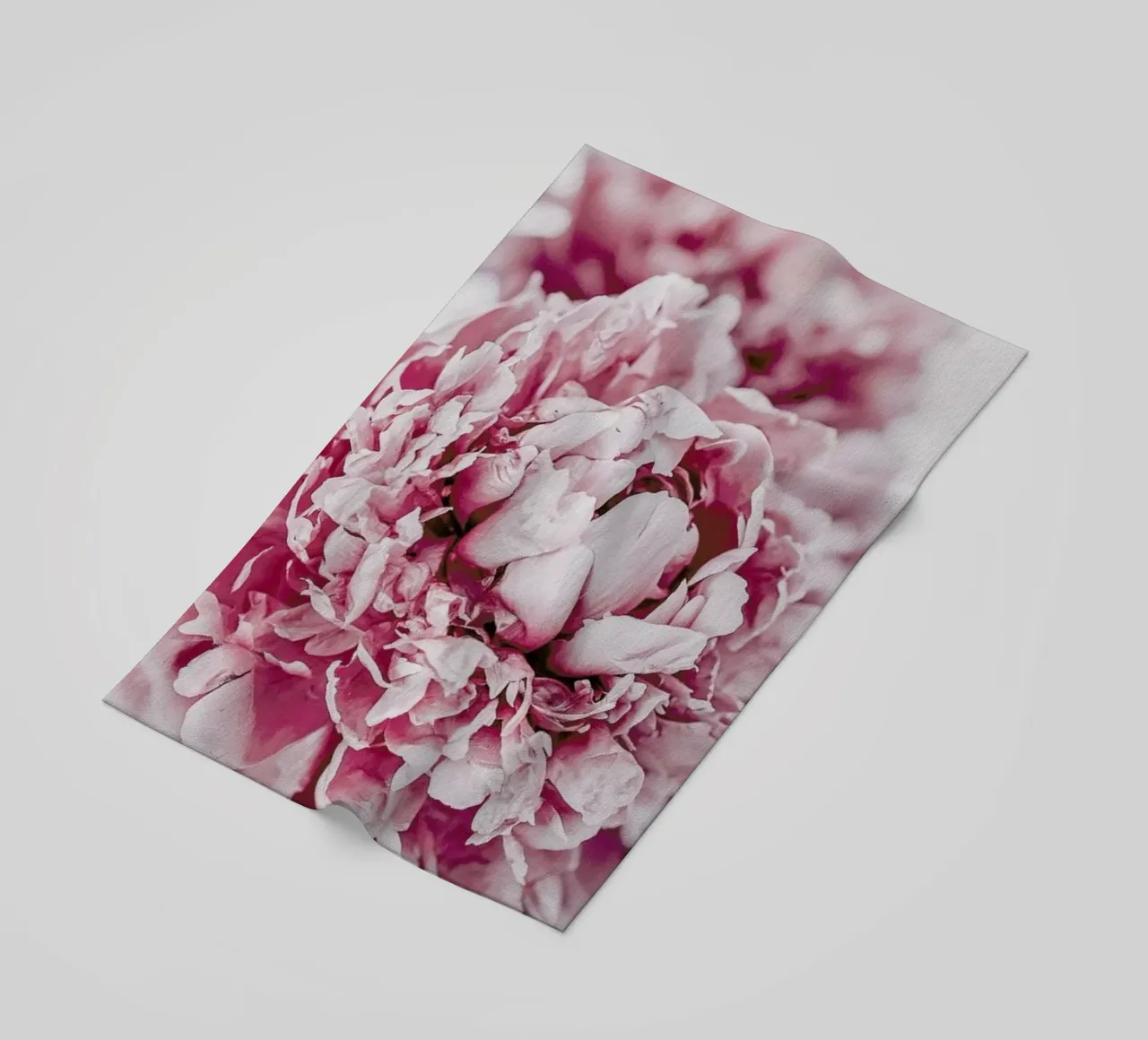 Peony in Focus telo mare da Flora & Fauna