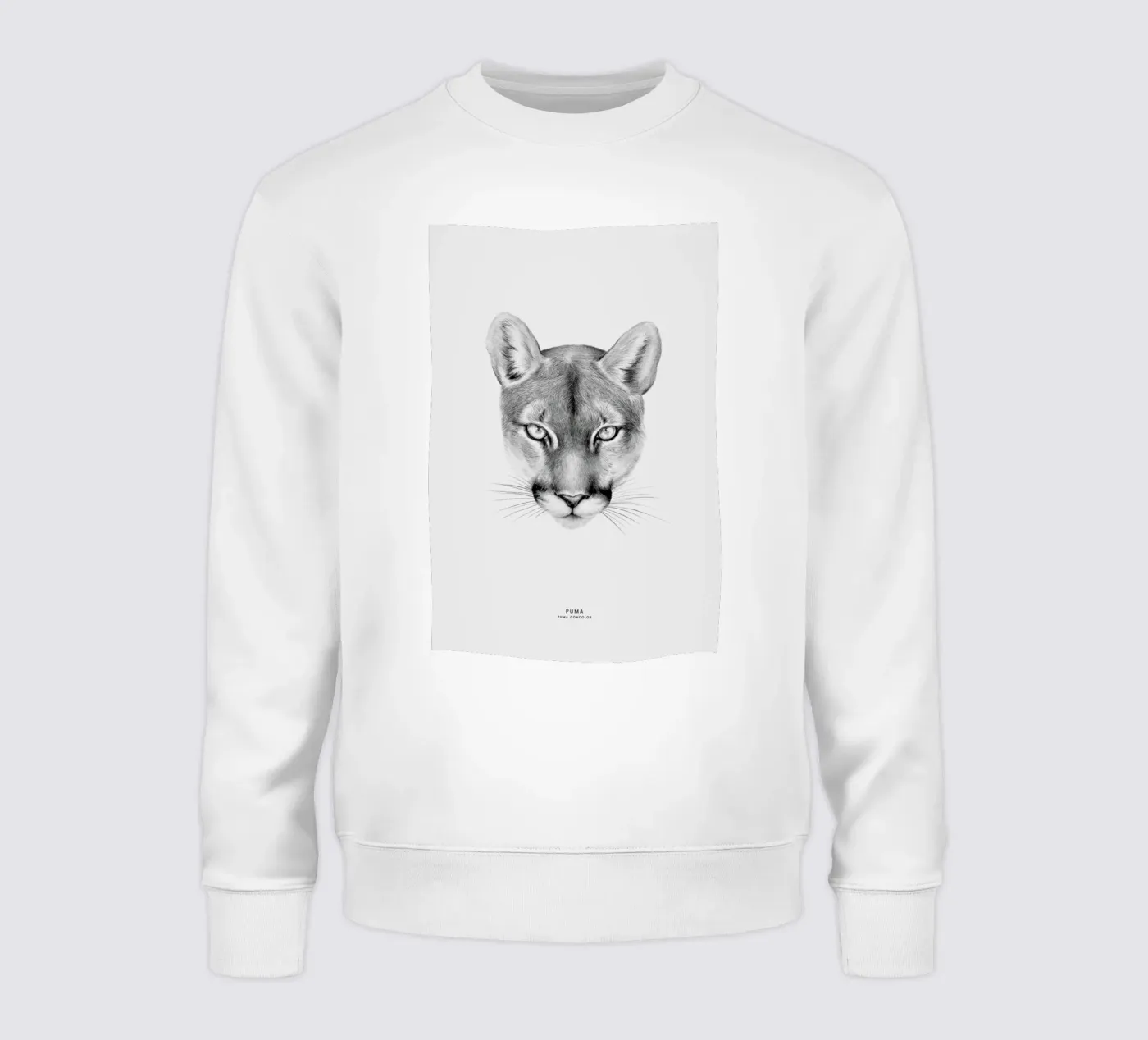 Puma felpa da Flora & Fauna