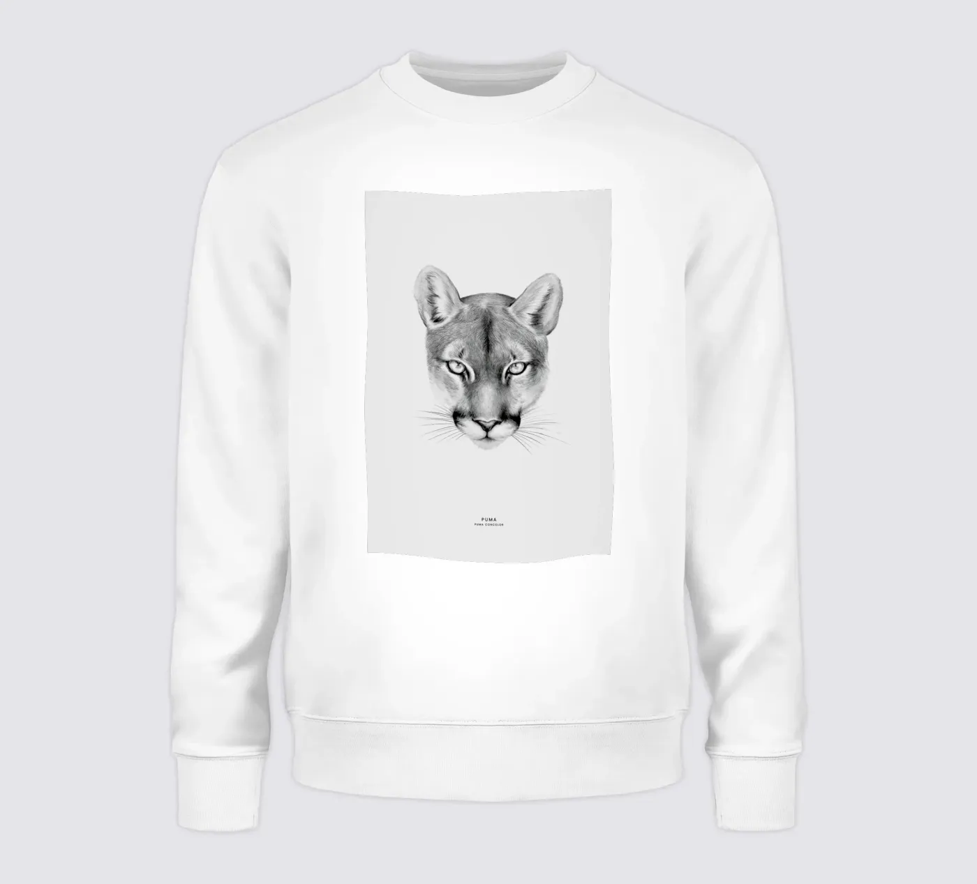 Puma felpa da Flora & Fauna