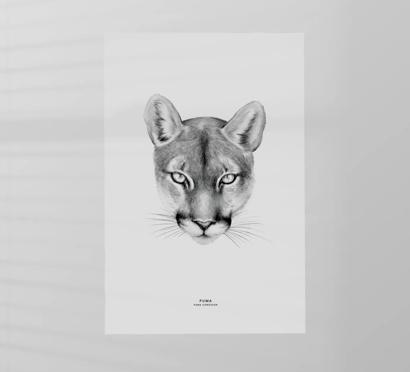 Puma backlit folie van Flora & Fauna