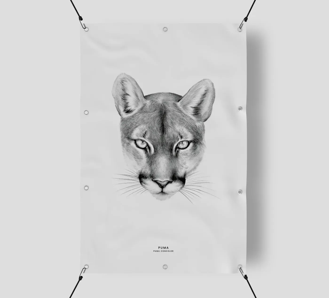 Puma telo in pvc da Flora & Fauna