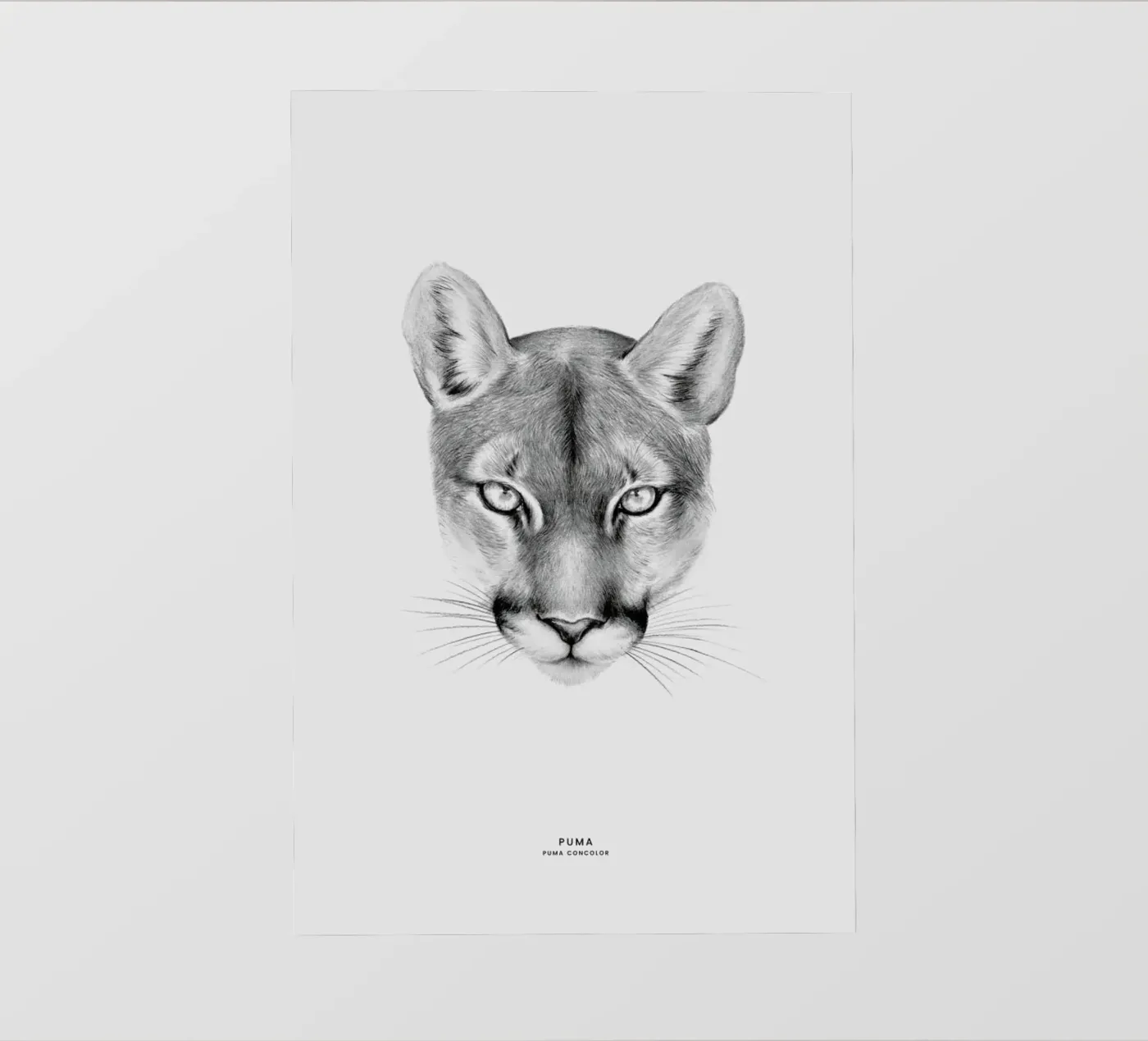 Puma telo in pvc da Flora & Fauna