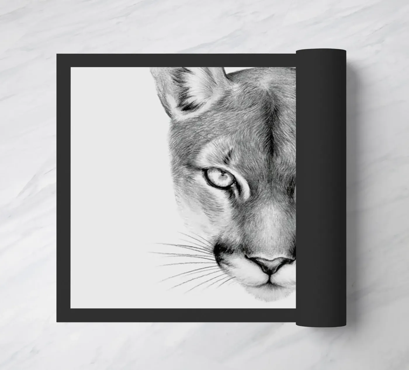 Puma zerbino da Flora & Fauna