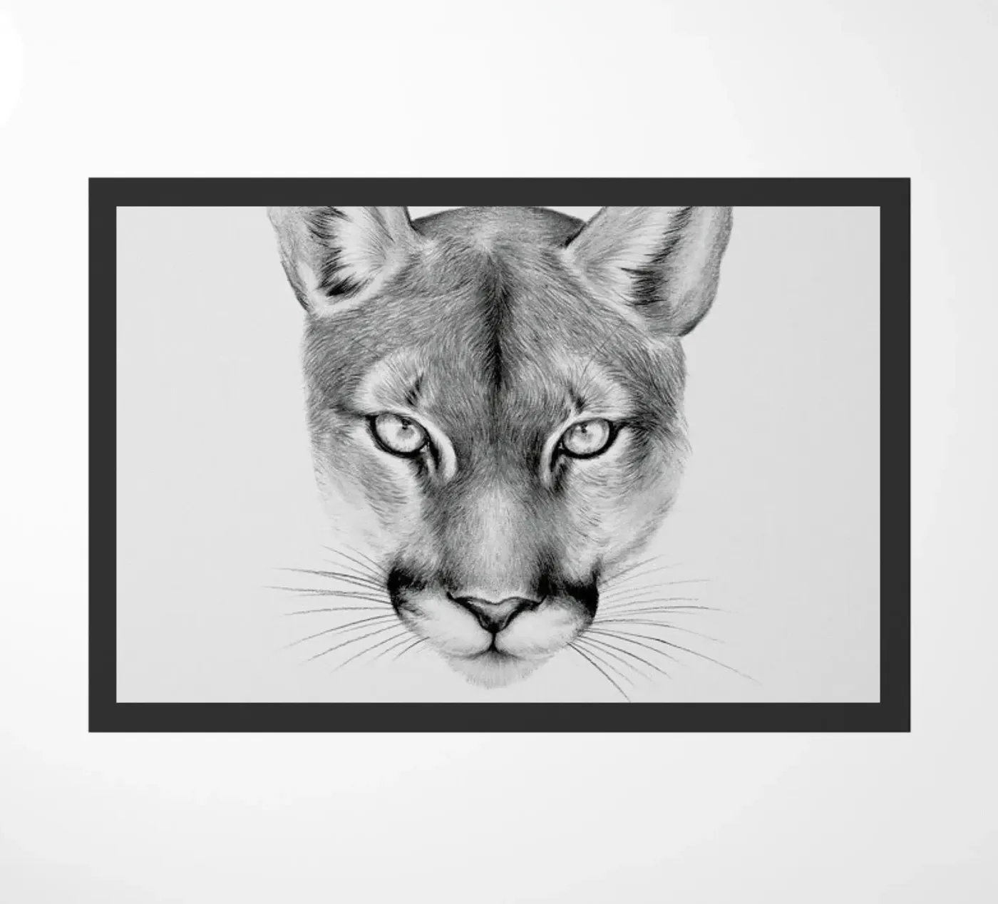 Puma zerbino da Flora & Fauna