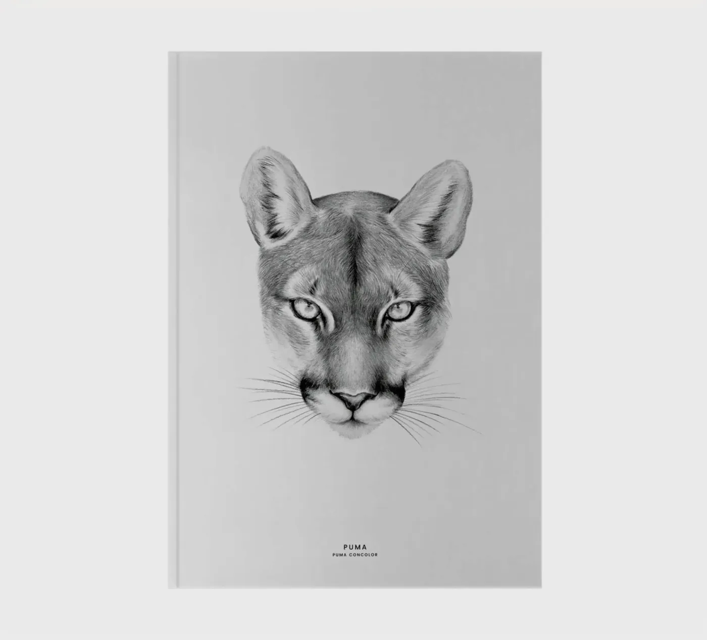 Puma notebook by Flora & Fauna